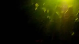 Circa Nightclub - Toronto CA