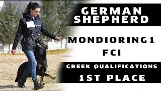 Mondioring 1 Winner - FCI Qualis of Greece 2020│Maestro Von Der Mohnwiese - Daphne Lazana