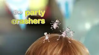 NitWits All-in-One | Treat Head Lice In One Go