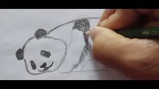 Belajar melukis PANDA