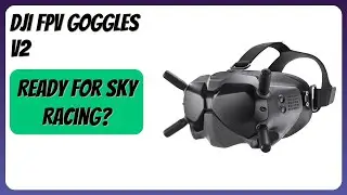 REVIEW (2025): DJI FPV Goggles V2. Features