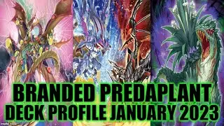 ФИРМЕННЫЙ ПРОФИЛЬ КОЛОДЫ ПРЕДВАРИТЕЛЬНОЙ ВЫСАДКИ (ЯНВАРЬ 2023) YUGIOH!