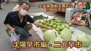 (38) 沈阳早市編 - 二七早市 Shenyang Morning Markets - 27 Morning Market