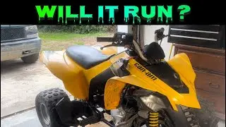 Cheap Can-am DS 250 will it run ?