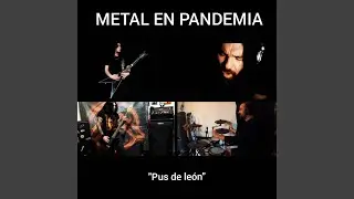Pus de león