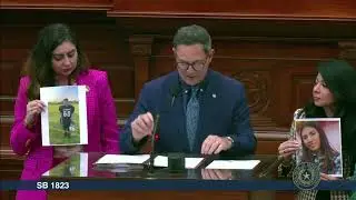 Chairman Anchia's Remarks on SB 1833: Penalties for Drug Offenses Committed Using Social Media