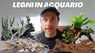 Come preparo i legni prima di inserirli in acquario