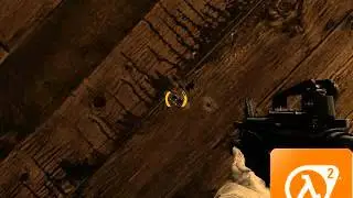 Half-life 2 Weapons skins