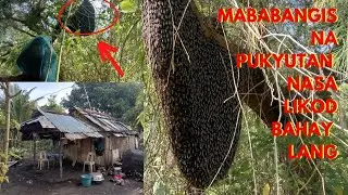 MABABANGIS NA PUKYUTAN NASA LIKOD-BAHAY LANG! / Juan Lagalag
