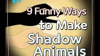 [Life Hacks] How to Make Shadow Animals with Your Hands｜Sharehows