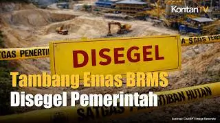 Tambang Emas BRMS di Palu Disegel Pemerintah, Ini Klarifikasi BRMS