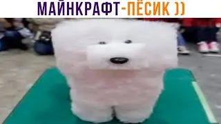Minecraft Doggie ))) | Jokes | Memozg 1328