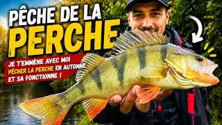 La Perche, comment aborder la p&ecirc;che en automne ? Mes conseils pour r&eacute;ussir ! (Episode N&deg;2)🇫🇷