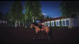 DOBRY WIECZOR MISIAKI!  || KROPELKA #starstableonline #starstable #sso #konie