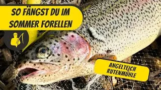 So f&auml;ngst du im Sommer Forellen