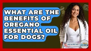 What Are The Benefits Of Oregano Essential Oil For Dogs? - Ask A Pet Vet