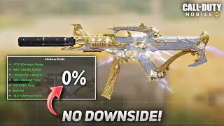 My New LAPA gunsmith has No downside!