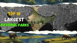 Explore the Top 10 Largest National Parks in India!