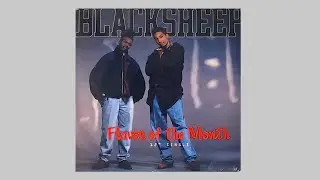 Black Sheep - Butt... In The Meantime (LP Version) - 1991 Mercury - Dres | Mista Lawnge - 12