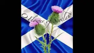Roy M. B. Williamson: Flower Of Scotland arr. for an English Horn Solo with a Piano Accompaniment