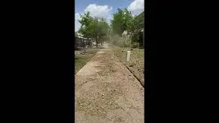 Edging before and after Timelapse!
