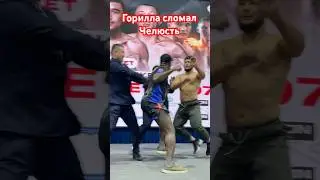 Горилла сломал челюсть брозилцу #бокс #фудфотограф #мма #съемкифильма #бои #фотографалматы #бой