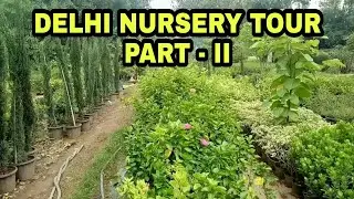Nursery Tour[ Part-2] Exculsive and Premium Plants#nurseryvisit
