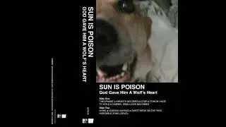sun is poison - howl (bonus track | official audio)