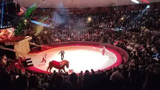 Fovarosi Nagycirkusz - Donnert Csalad
