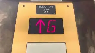 Golden Modded 1950&rsquo;s Otis Black Button Traction Elevator 2 | Gerberding Hall | UW, Seattle, WA