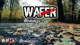 Wafer and Friends - Menunggu (Official Lyric Video)