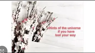 Signs of the universe. Quotes that are worth reading!