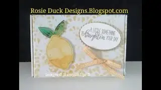 Paper Pumpkin Box 1