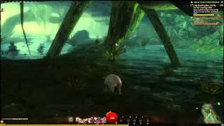 GuildWars 2 Funny HeartQuest