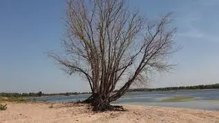Wandelen op klein-eiland recreatiegebied de Bijland.