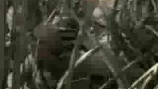 Rambro - Rambo Attacks!!!