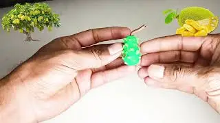 Jackfruit Clay Model and Simple Information