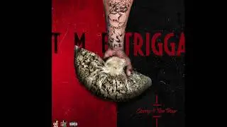 TMETrigga - Trap Lingo (Sorry 4 Tha Trap)