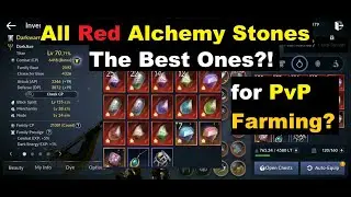 Black Desert Mobile All Red Alchemy Stones Review - Best Ones!?