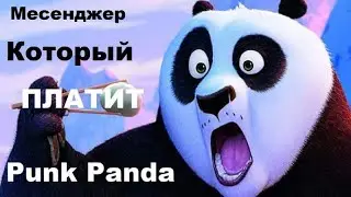 PunkPanda Презентация кратко 20 мин.