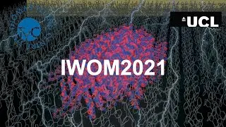 Charge transport in high mobility molecular semiconductors