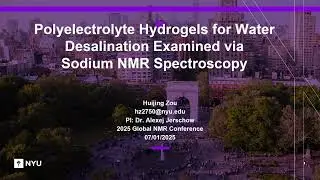Polyelectrolyte Hydrogels Examined via 23Na NMR | Huijing Zou | Online Conference 2025