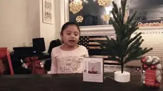 PacieInTheCity trims her family&rsquo;s mini Christmas Tree 🎄 #trimthetree