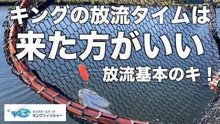 【放流基本のキ！】絶対に来た方がいいキングフィッシャーの放流タイム！inキングフィッシャー