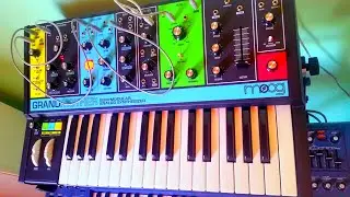 OMD - Enola Gay (cover buddy dean revell) created with moog grandmother ki free