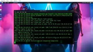 Configure Free VPN on Kali Linux latest version. Set Free VPN. Install VPN for free. Ethical Hacking