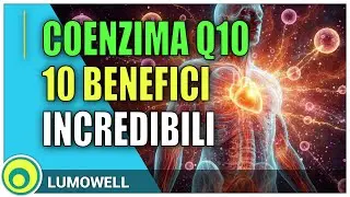 Coenzima Q10: 10 Benefici Sorprendenti E Come Assumerlo Correttamente