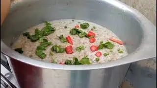 Homemade Dog Food for Giant Breeds (Easy Recipes) #dog #youtubeviral