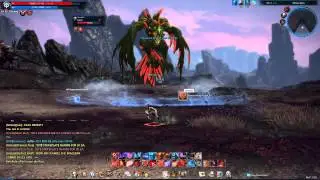 Tera Online Archer Gameplay (Kill BAM)