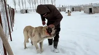 GÜNE ÇOK KÖTÜ Bİ OLAYLA BAŞLADIK. ZALIM MAF OLMUŞ. KAYBEDEBİLİRİZ ZALIMI